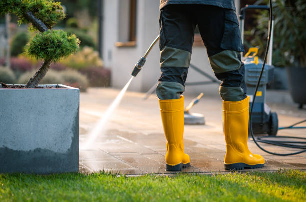 Best Exterior Home Cleaning  in Osawatomie, KS